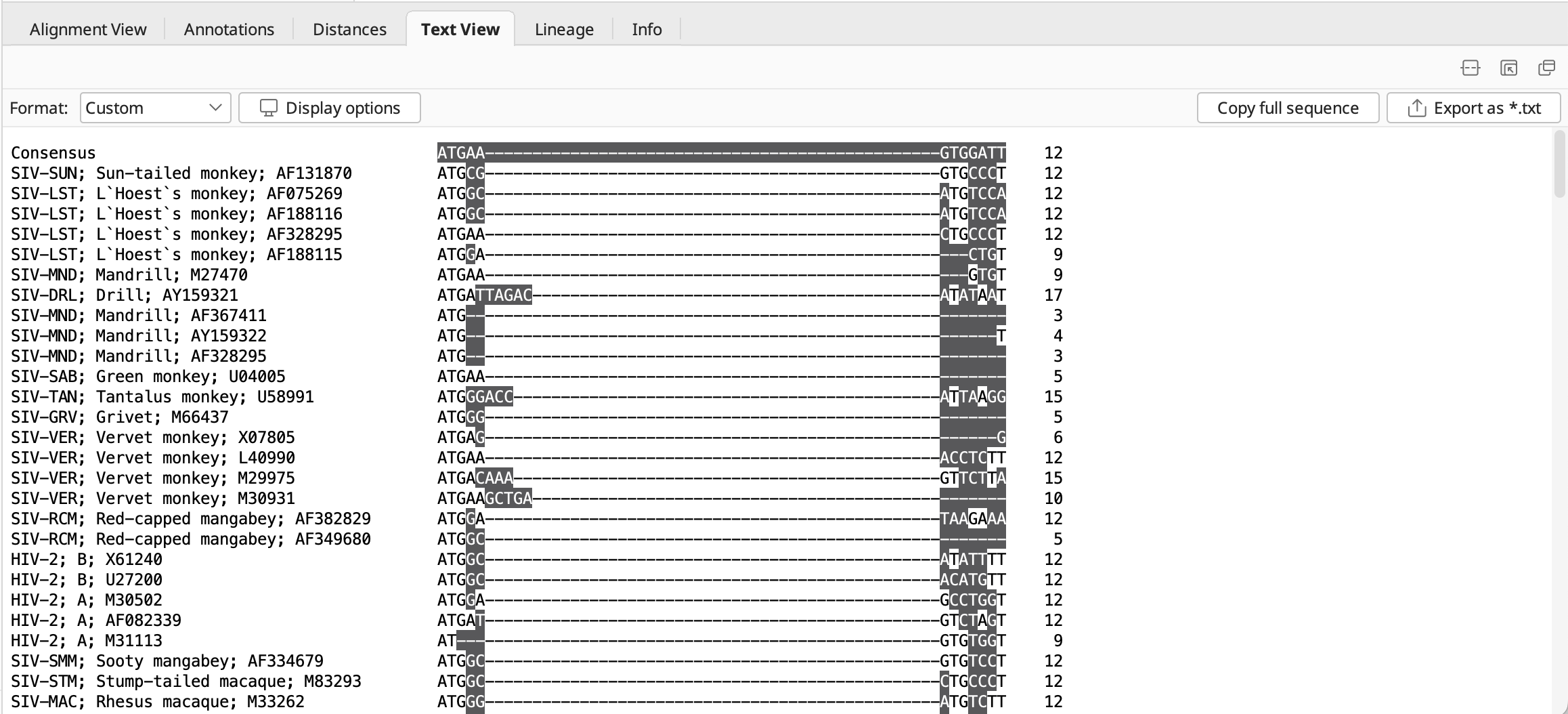 Geneious Prime_マルチプルアライメント_テキスト形式でエクスポート